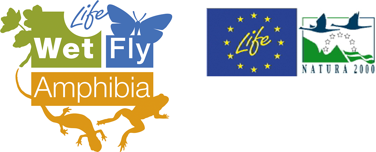 LIFE WetFlyAmphibia logo