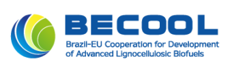 BECOOL logo