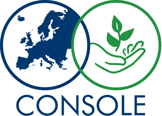 CONSOLE logo