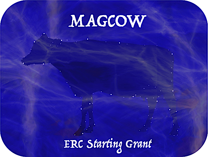 MAGCOW logo